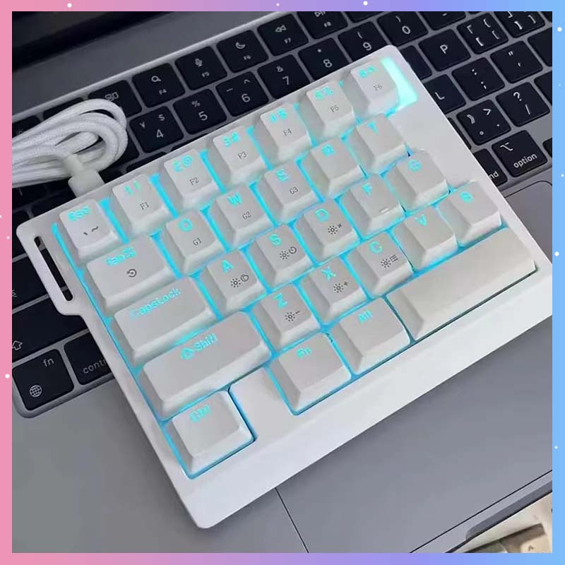Gaming Keyboard Mechanical - HE30 メカニカルゲーミングキーボード 29キー 磁気スイッチ 8000HZ対応 マクロプログラミング